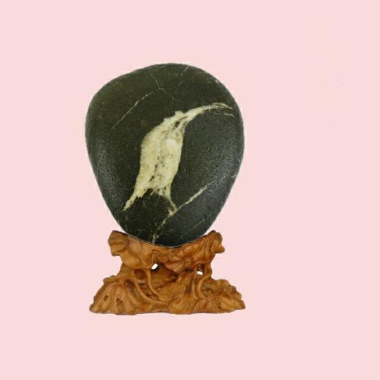 都是些什么“鸟石”？保证有你好看