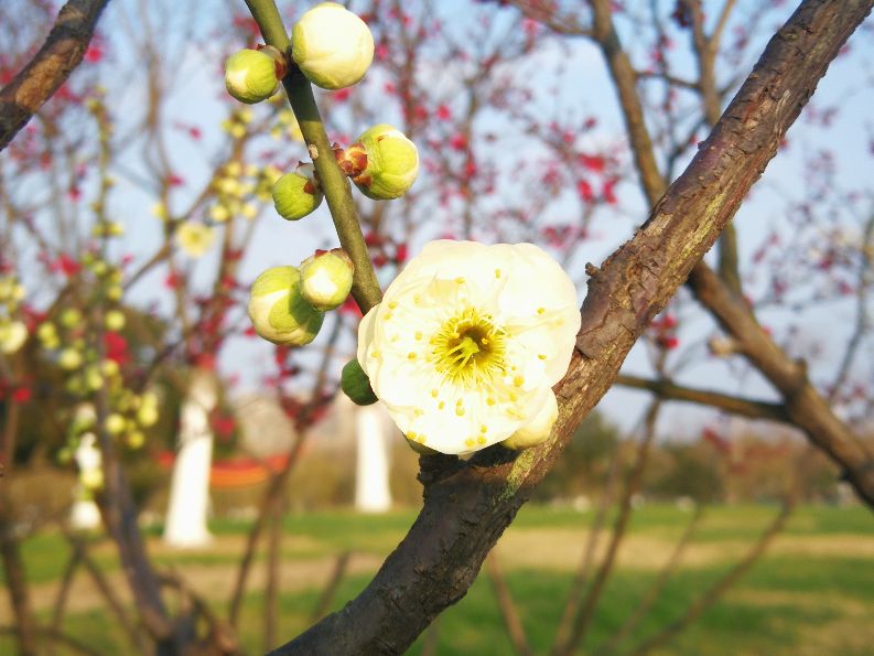 漫步河畔公园全景图,漫步公园美景