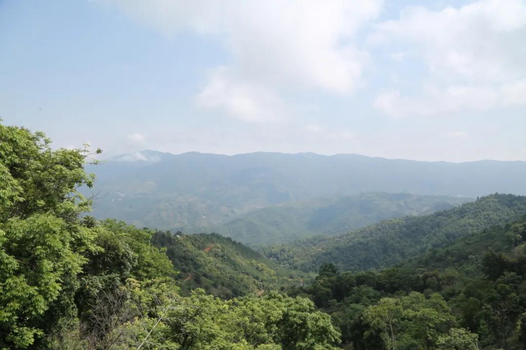 庆沣祥七彩云南普洱,庆沣祥七彩云南名门普洱