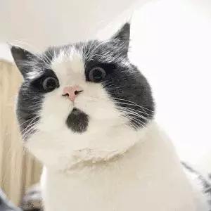 襄阳民政局实力宠新人！20200202对称日不放假！