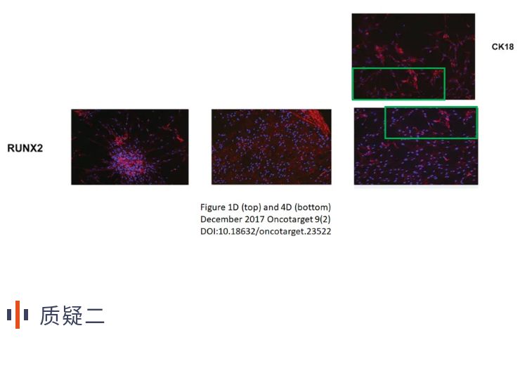 徐州医科大学论文,徐州医科大学发表论文被质疑