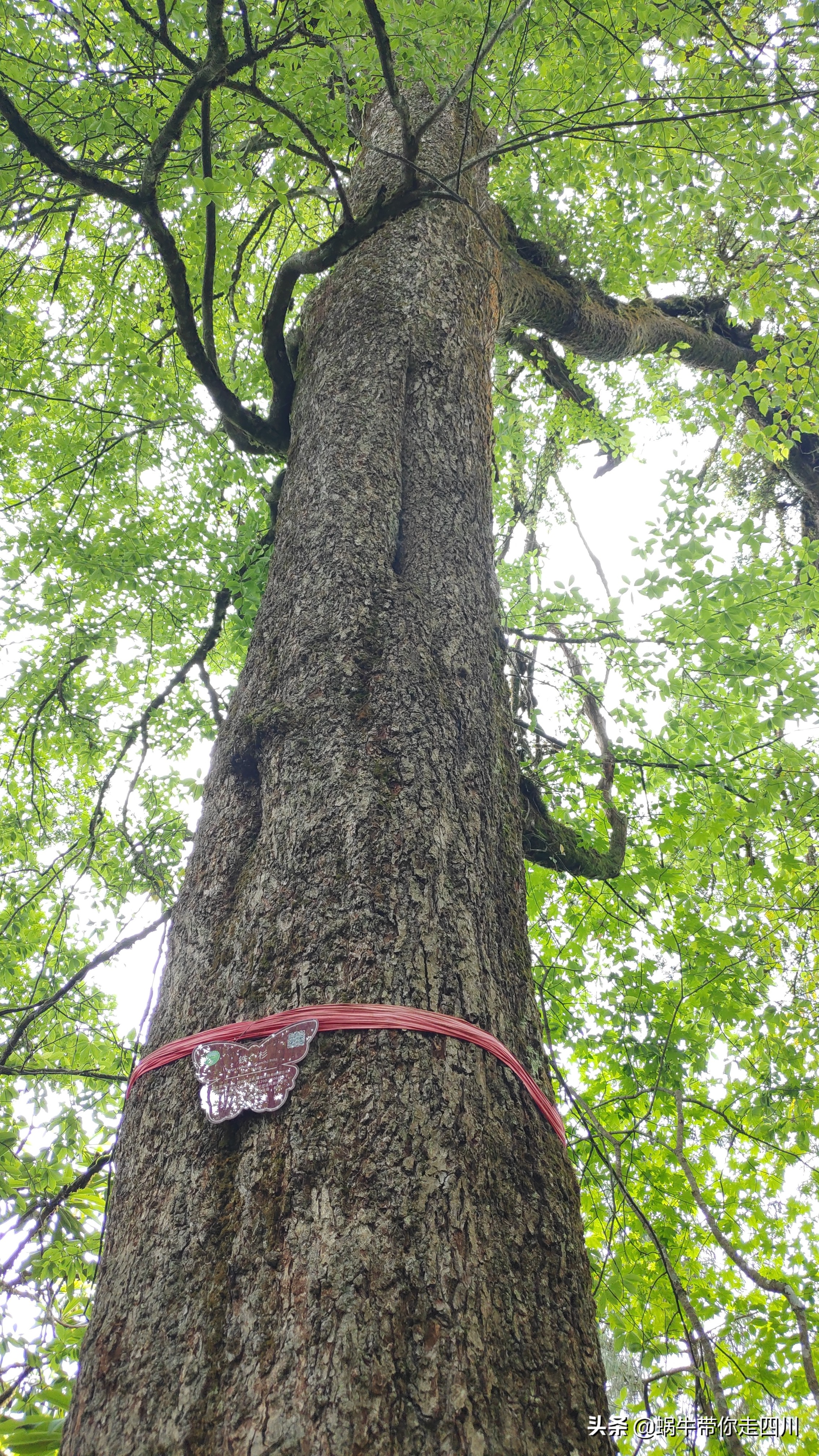 带小朋友出去看小动物,带小孩去海洋动物园