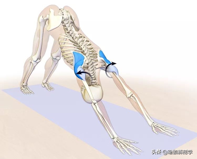 瑜伽下犬式脚迈不到前面怎么办,瑜伽下犬式臀部抬不起来怎么办