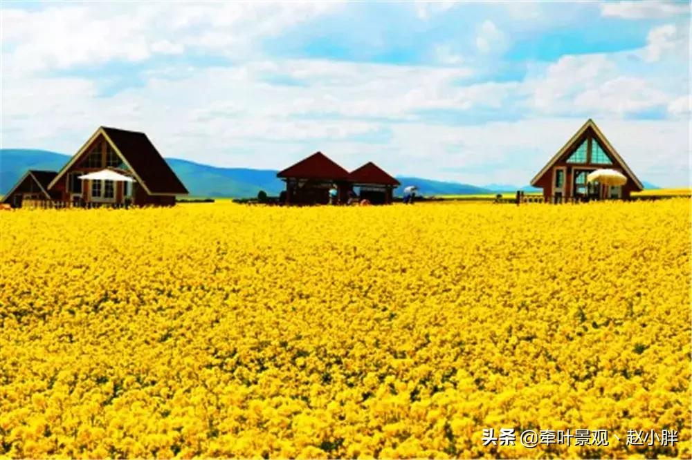 踏春寻美景,踏春赏花梯田漫步