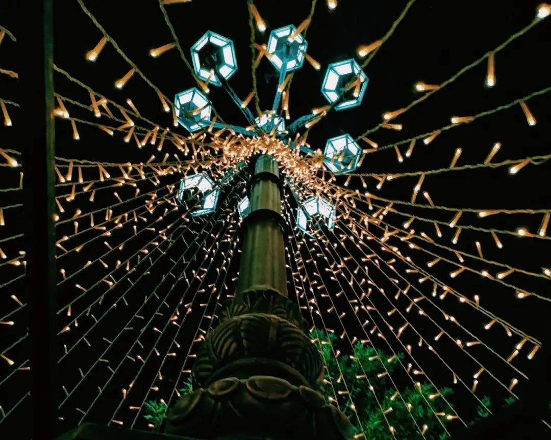 优微推荐｜致萌新，这些农大最美的地方，你发现了吗