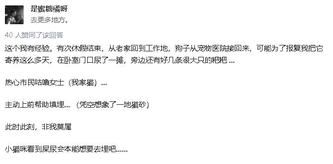 拉屎这么臭，姿势还这么骚，这些猫还真是猫界艾丽