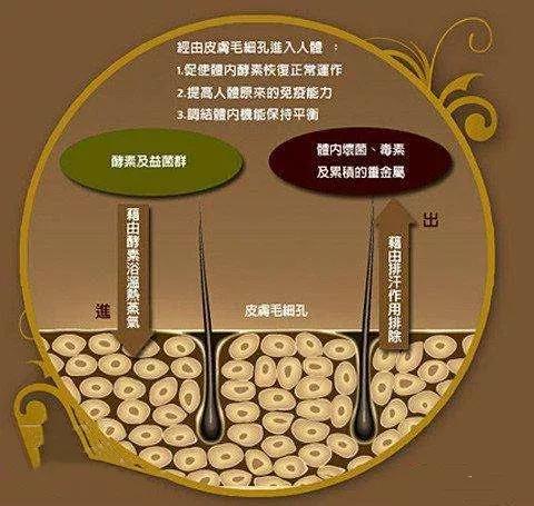 酵素浴最火的视频,爆火的酵素浴体验