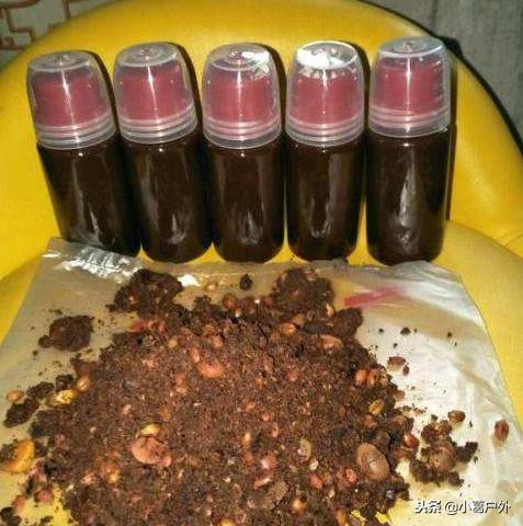 钓鱼小药对野钓有用吗,钓鱼小药野钓真的有效果吗