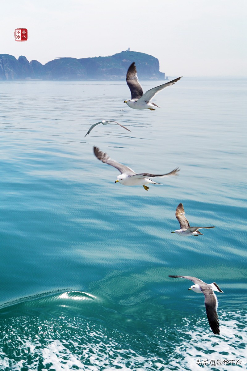 威海5月游记,威海最美一日游