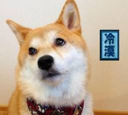 2022上海墓地价格表,上海滨海古园墓地价格表2021