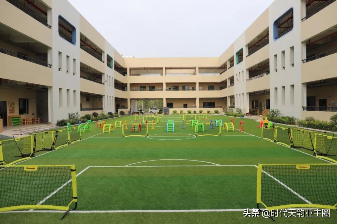 知识城幼儿园,知识城学校