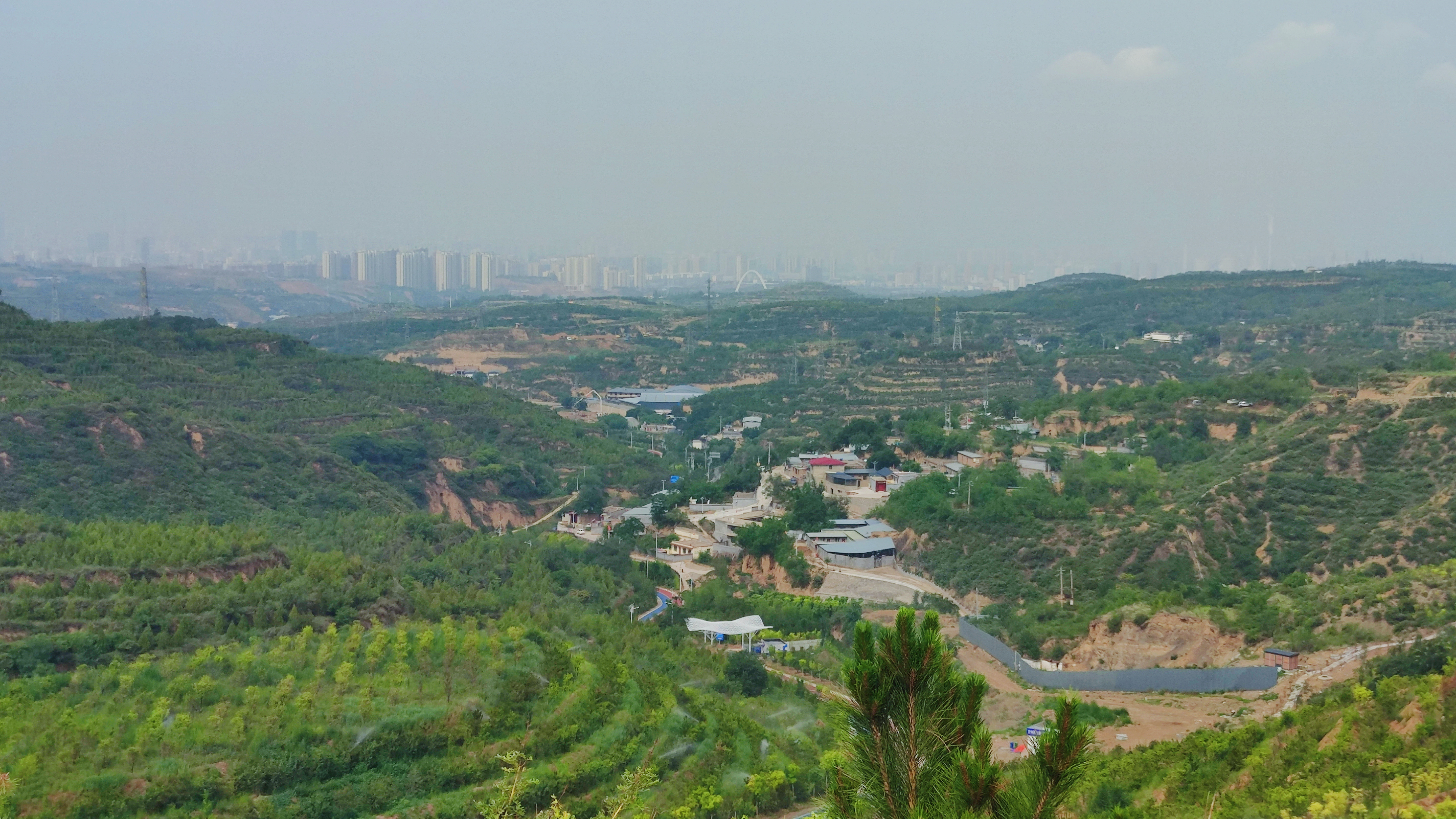 太原植树造林成果,山西人工造林工程