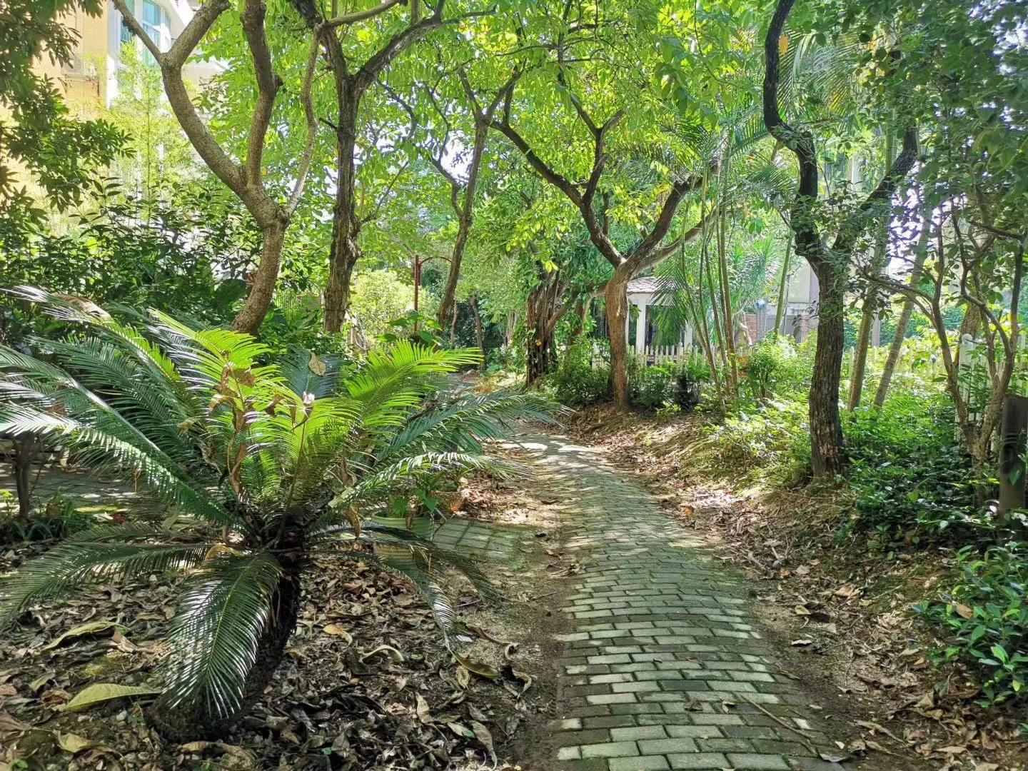 广州天河华南御景园二手别墅,广州华南御景园属于哪个社区