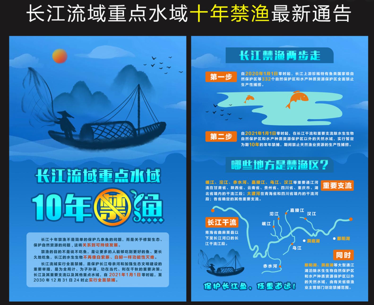 三峡大坝蓄水现在鱼有多大,三峡大坝建成后鱼类减少多少种