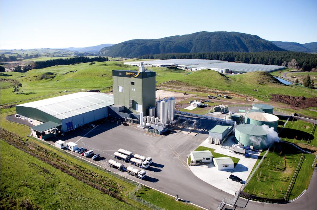 祝特贝优母公司Miraka液态奶销量达十亿盒