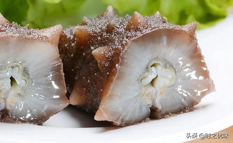 人工养殖的海参与辽参的营养区别,养殖参和野海参的营养区别