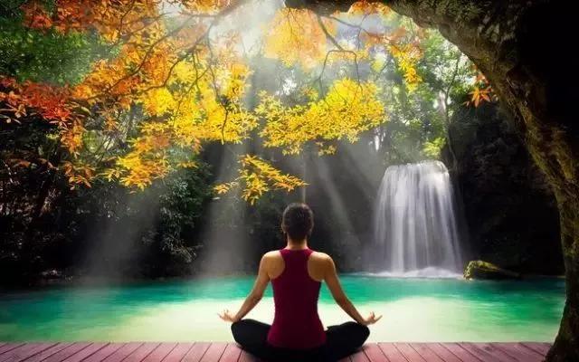 静的力量让人找回理智,做静功好处