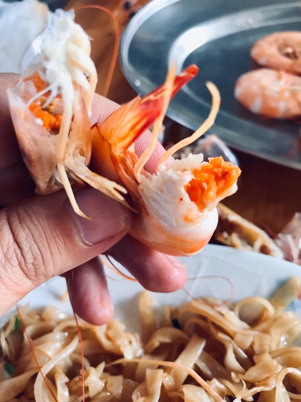 硇洲岛徒步环岛旅行,硇洲岛的旅游指南