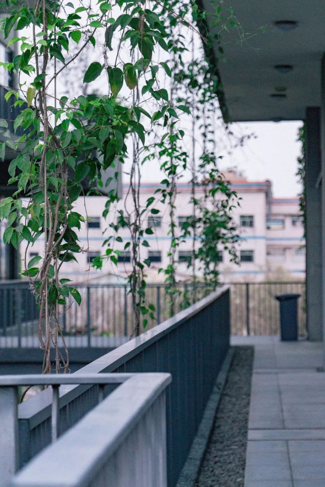 深圳风景最好的岛,深圳有个什么旅游岛