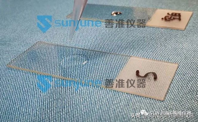 Plasma等离子清洗设备,等离子Plasma清洗处理机