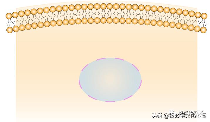 科研绘图流程图全部,科研小白论文图表入门
