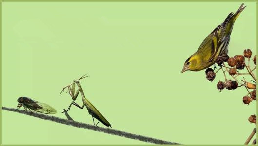 古代贤父,古人如何做好父亲