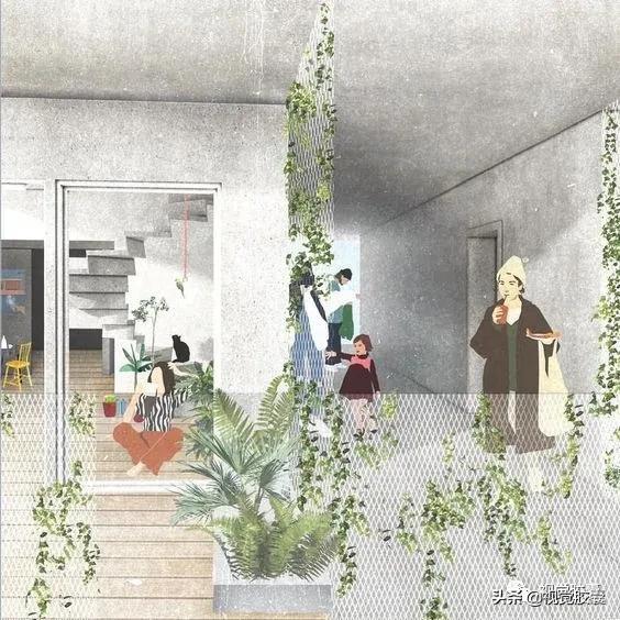 乡村蔬菜大棚的设计,蔬菜精美设计图片