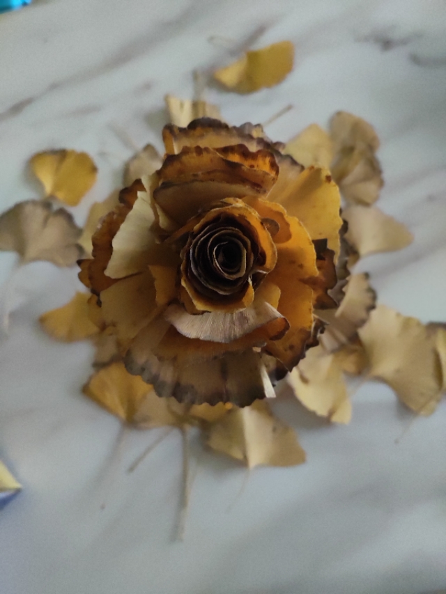 银杏叶手工花贴画幼儿园简单,银杏叶可以做什么手工小学生做的