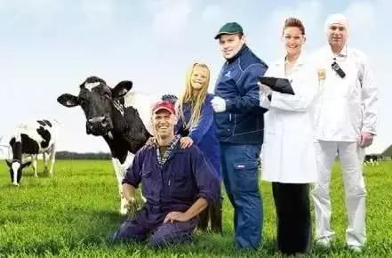 奶粉哪种配料高才是好奶粉,奶粉配方太重要你真的看懂了吗