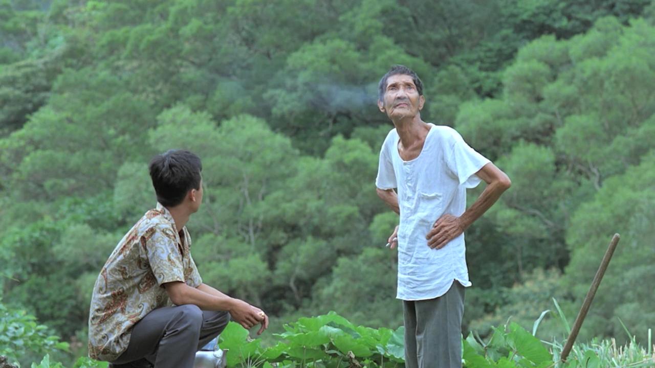 恋恋风尘表达的意思,恋恋风尘表达的感情