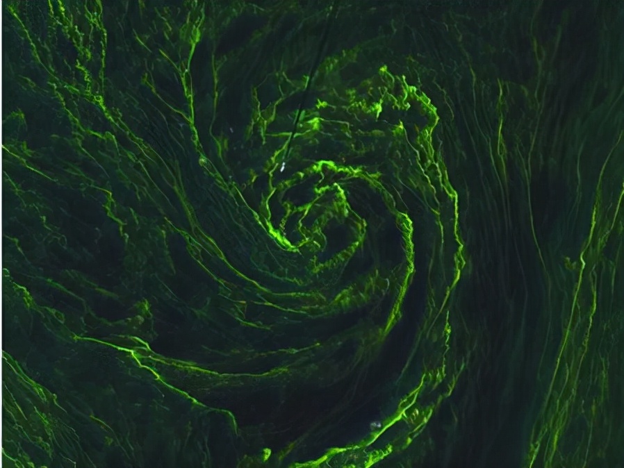 受赤潮影响的鱼可以吃吗,日本海水核污染鱼还能吃吗