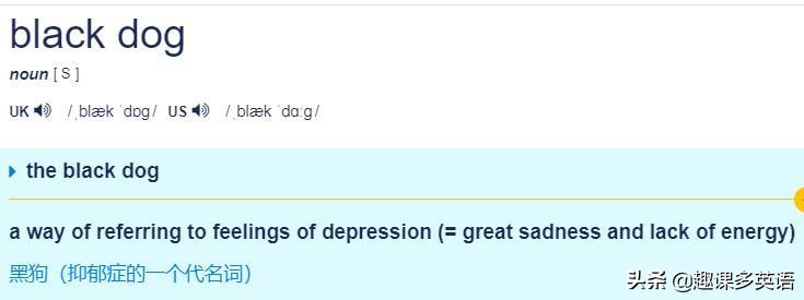 鑰佸璇磞ouare,澶栧浗浜鸿youareanimals