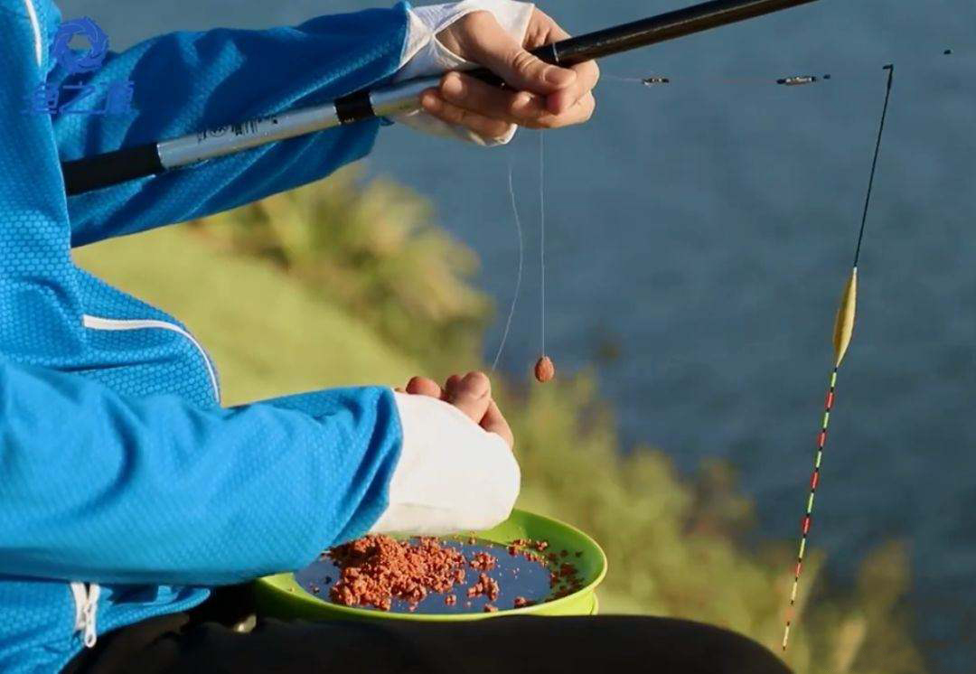 为什么说学会调漂就不会钓鱼了,新手钓友如何精准调漂