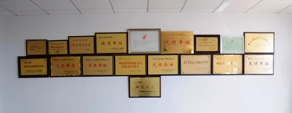 耐斯特凌云汽车系统芜湖有限公司,耐斯特能源科技有限公司