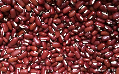 邹燕勤治肾病蛋白尿经验,岳沛芬教授谈肾病治法