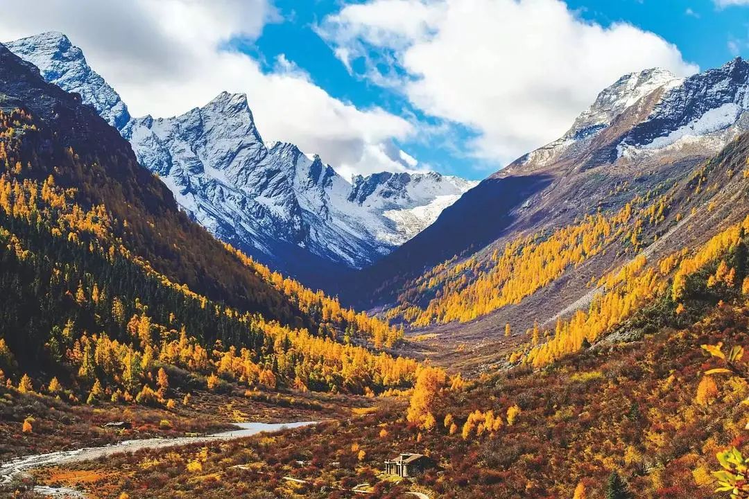 1011月错过它们，等于错过整个秋天！人少清净，随手一拍都是大片