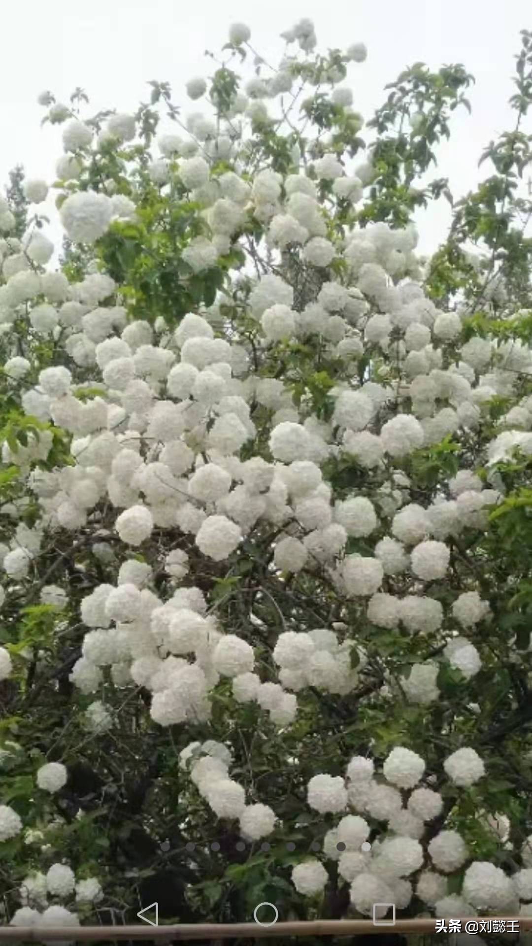 内心太空虚了怎么办,怎么样才能让自己的内心变大