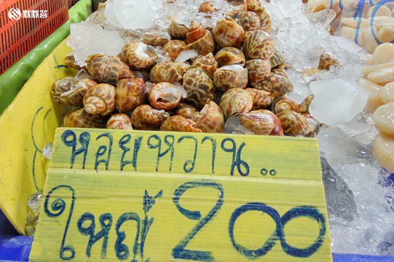 芭提雅怎么去蓝波海鲜市场,芭提雅自助海鲜300泰铢