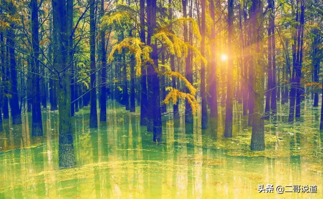 浙江看星空的露营地,浙江可以开车上去露营的山