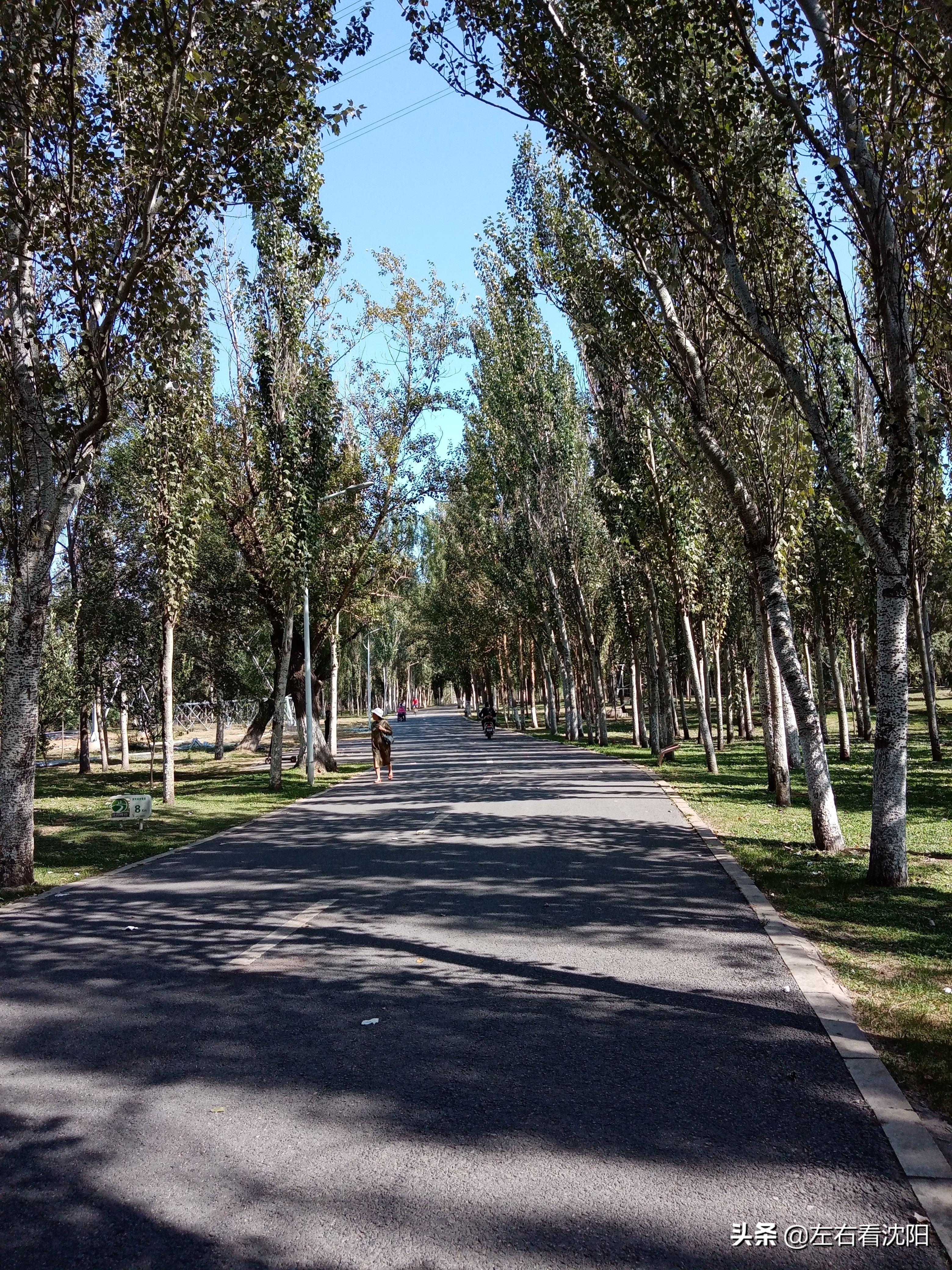 沈阳浑河游玩攻略冬季,盛京浑河晚渡视频