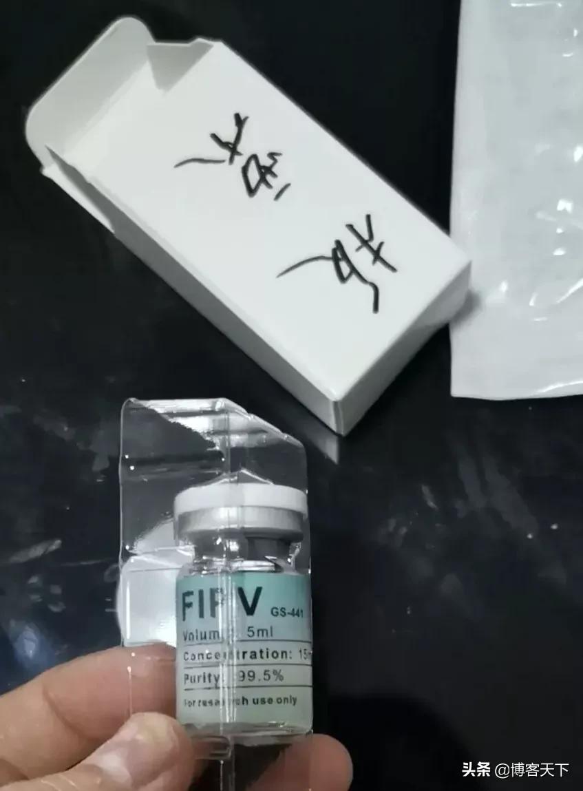 在哪里买猫才最靠谱的,哪里买猫比较便宜和身体好