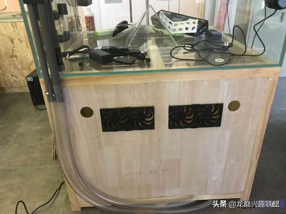 从零开始玩海缸的方法,从零开始玩海缸全过程