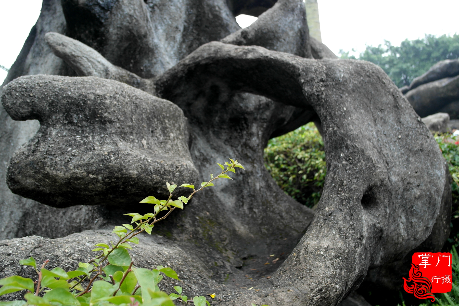 广州白云山游记一次身心愉悦之旅,广州白云山云台旅游