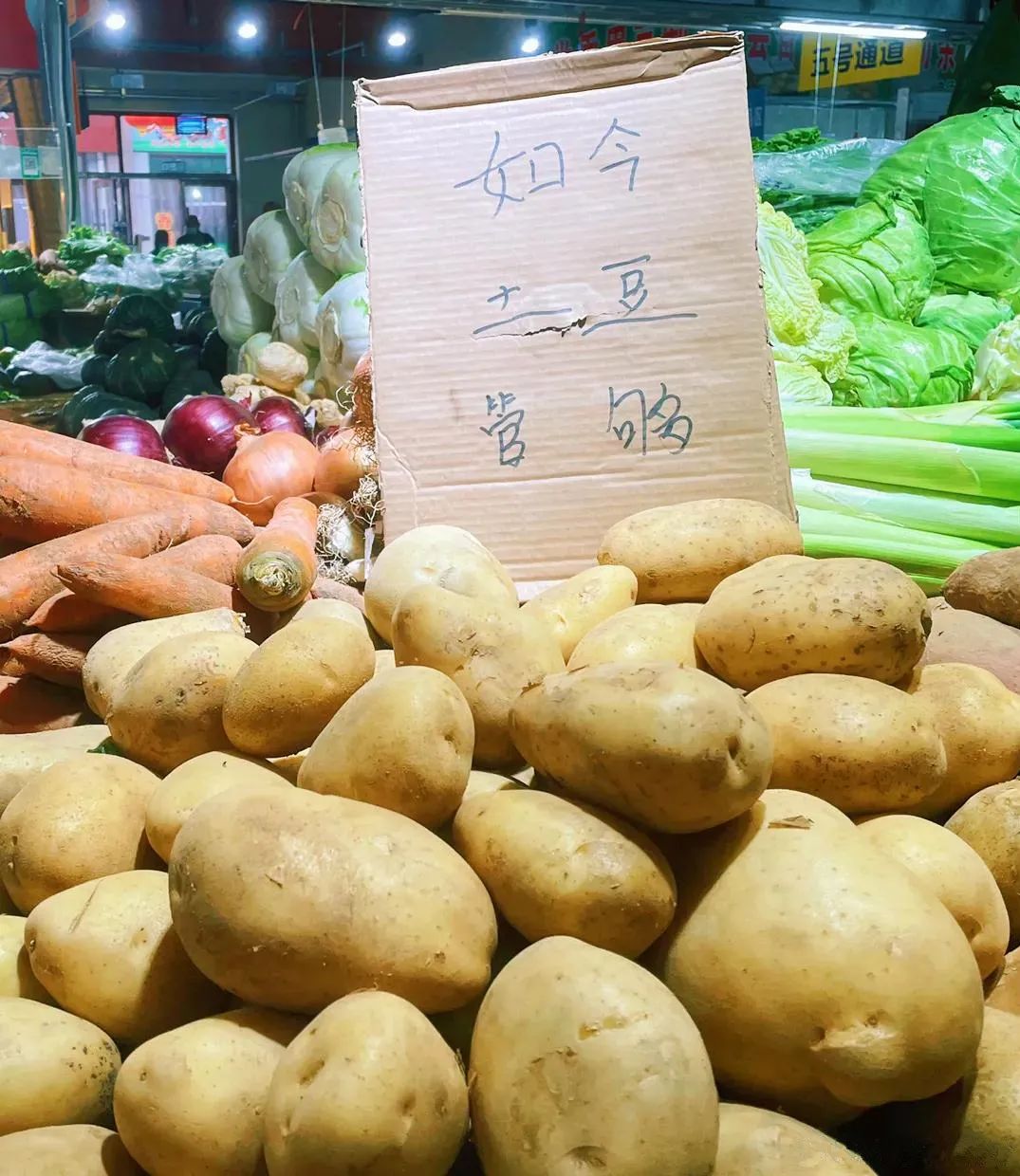 你对霸道的力量一无所知是什么梗,你对宇智波的力量一无所知日语