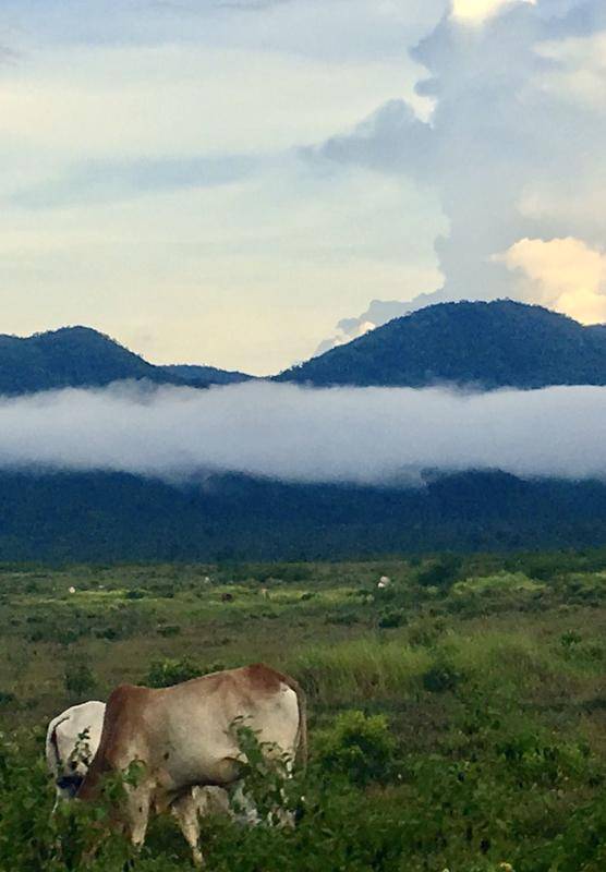 马航mh370柬埔寨找到了吗,马航mh370柬埔寨具体地点