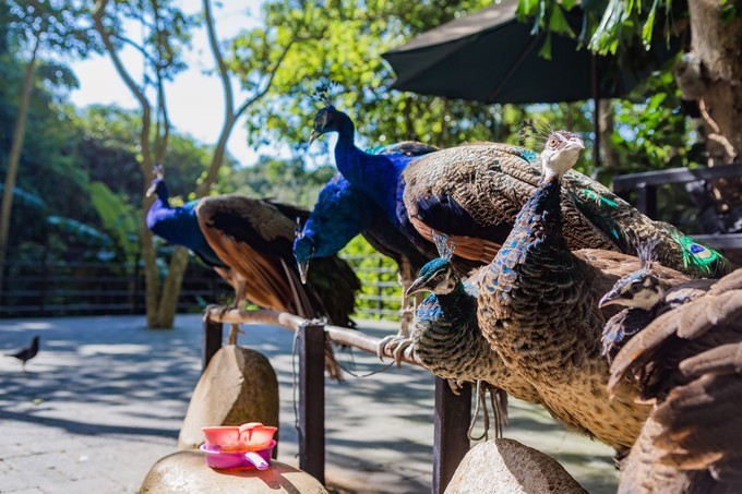 最美的愿望一定最疯狂~三亚