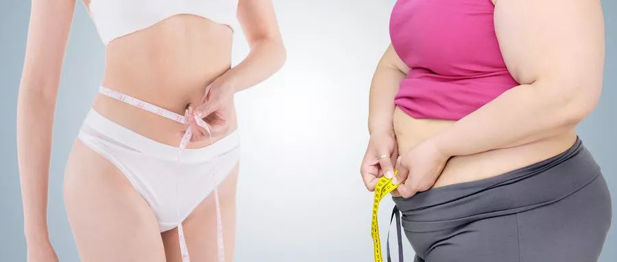 肾气足百病除一招借阳气,肾气充足百病自消出自哪里