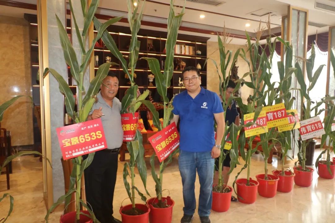 宝景农业,转变思路种地挣钱