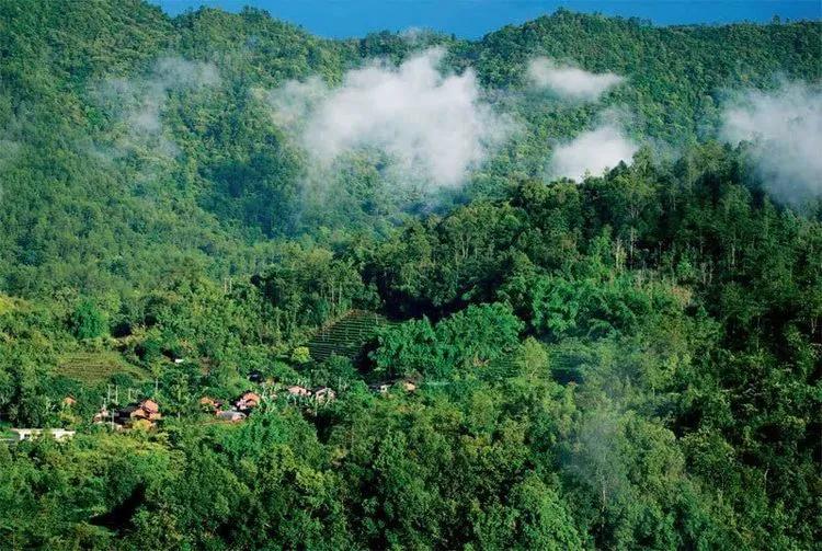 温柔的德牧视频,牧羊犬来福