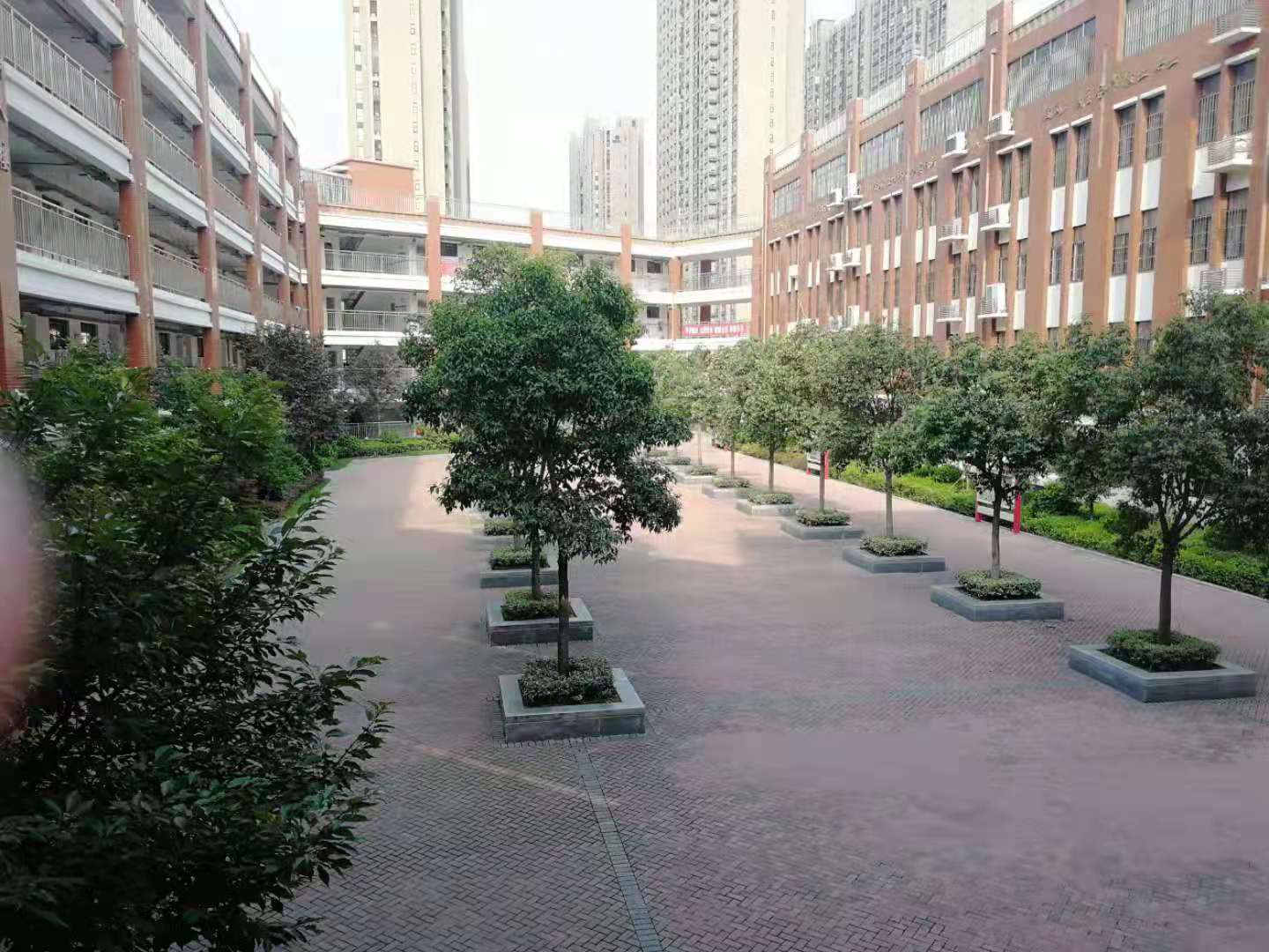 郑州市回民初级中学2020年新校区,一颗冉冉升起的教育新星